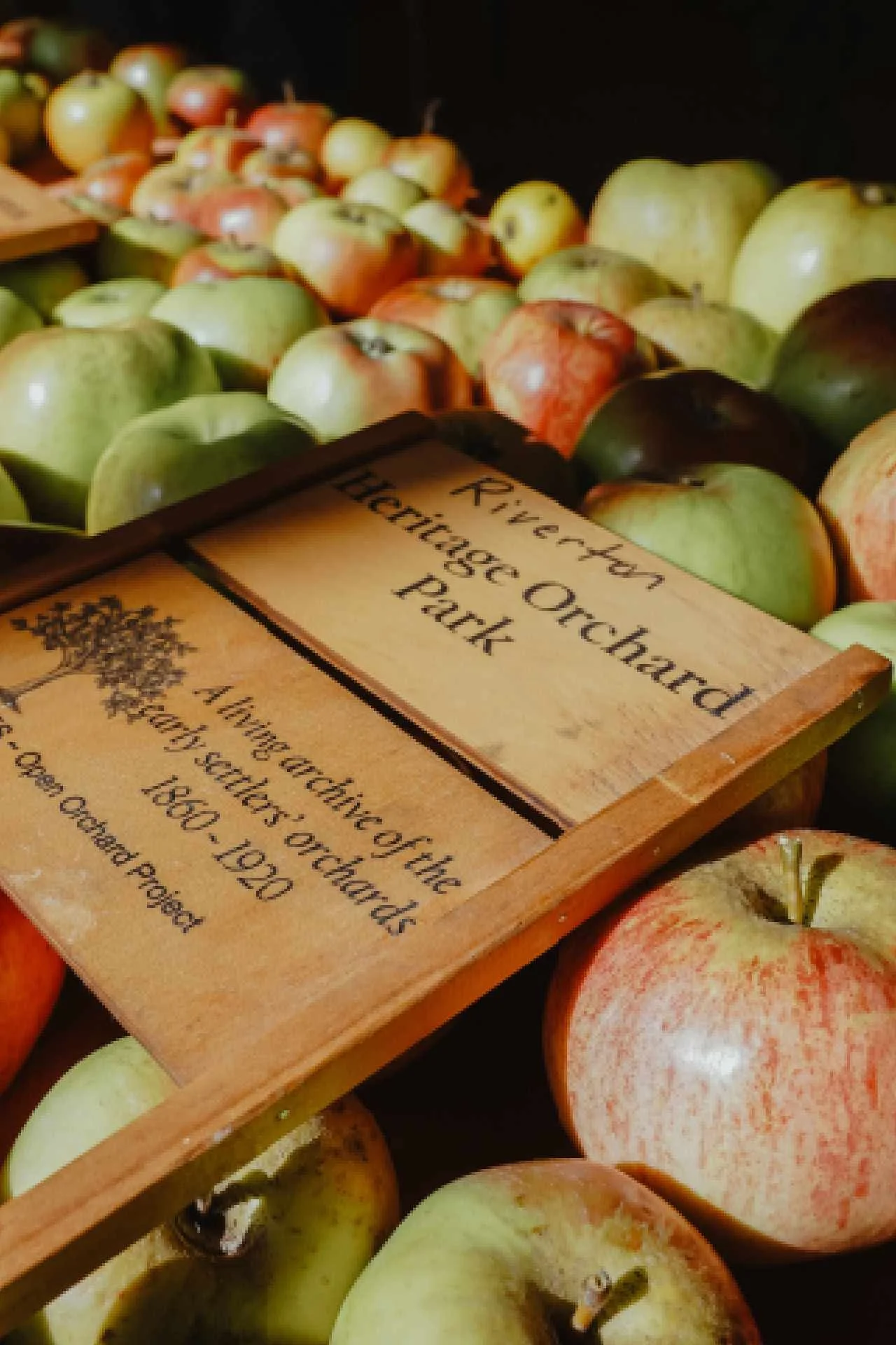 Is New Zealand Expensive To Visit? Here's How To Travel NZ On A Budget