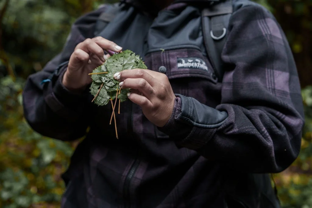 A guide holds up leaves from the native new zealand forest