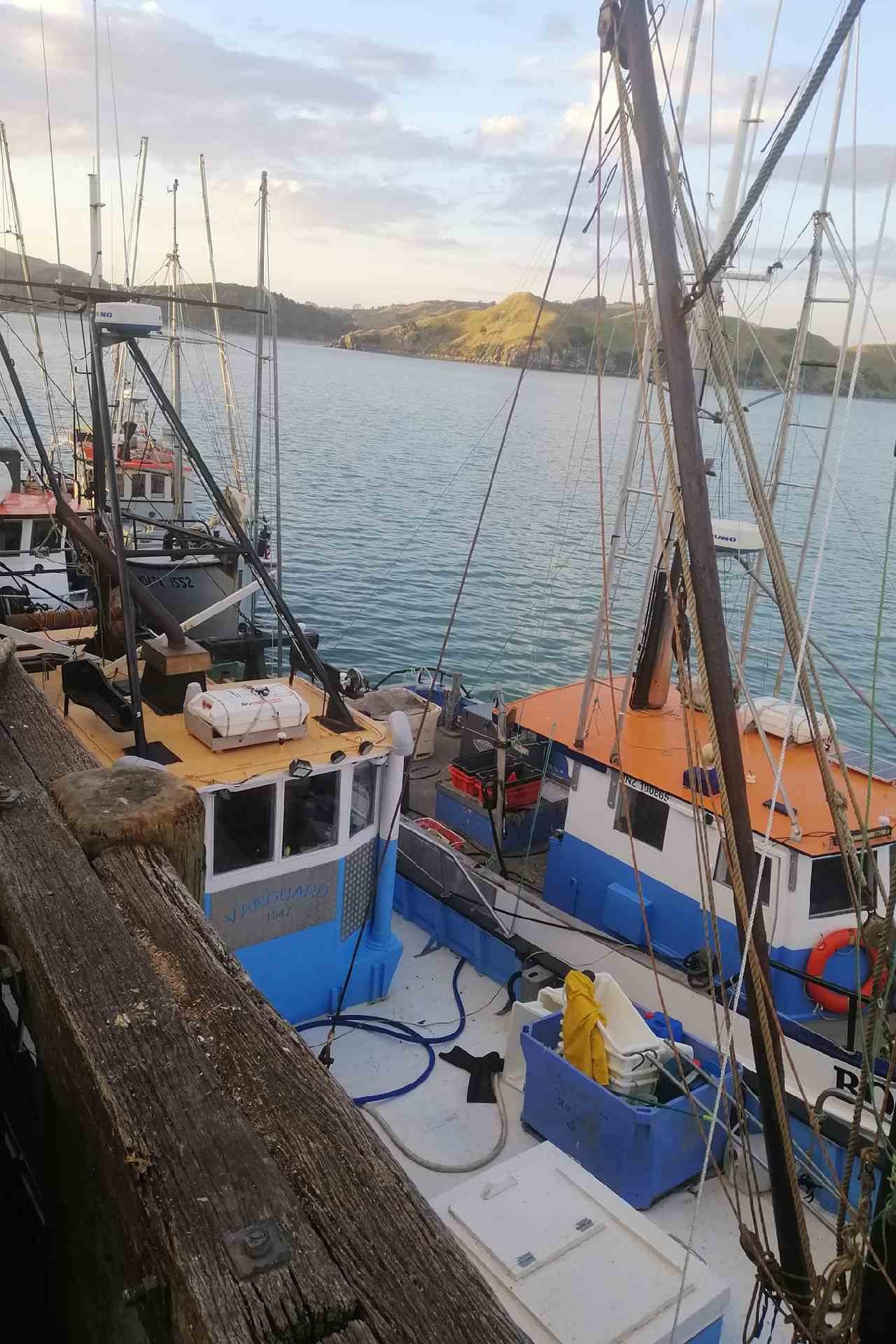 raglan yacht club