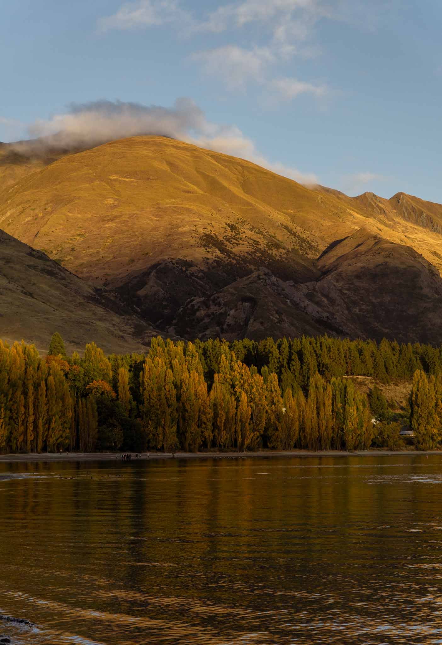 The best fall destinations in New Zealand — Petrina Darrah