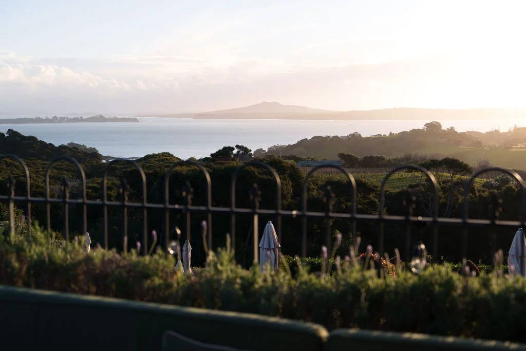 Rangitoto Island is visible from Mudbrick across the sea