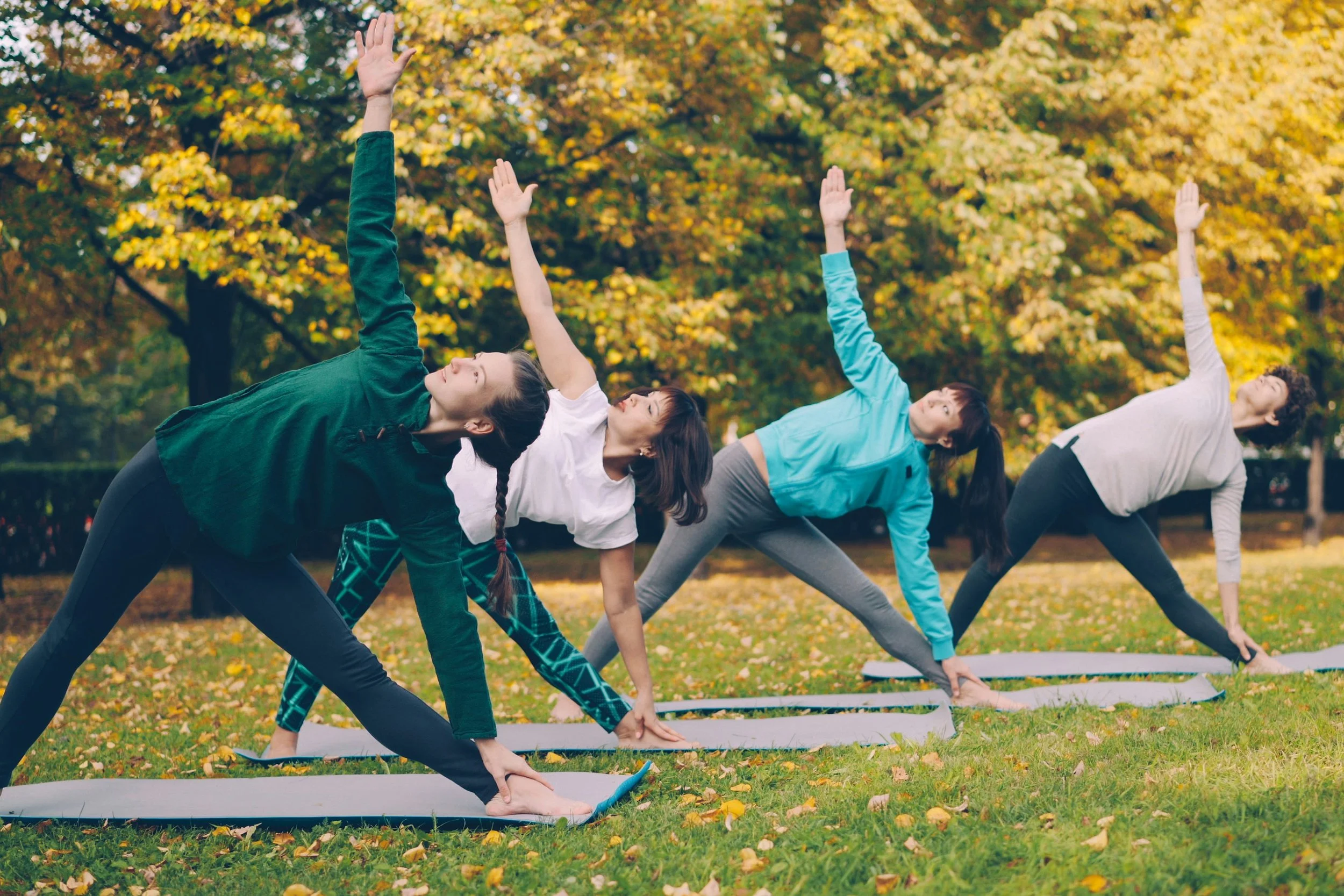Central Iowa Yoga in the Park 2026