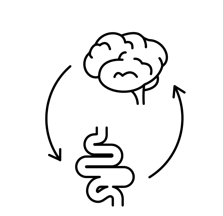 Screenshot 2023-05-02 at 11.43.51 AM.png