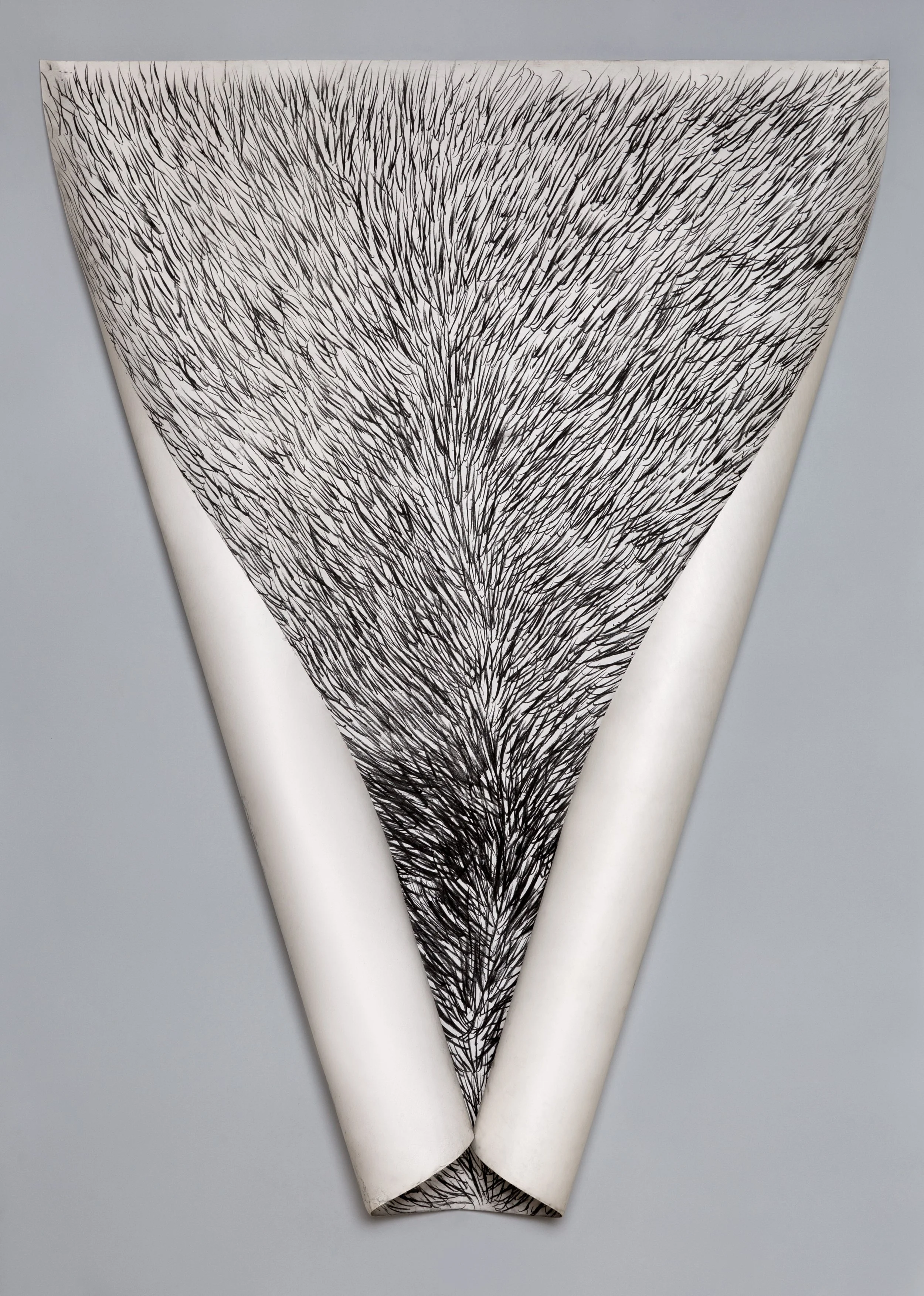 N.R-7981.jpg