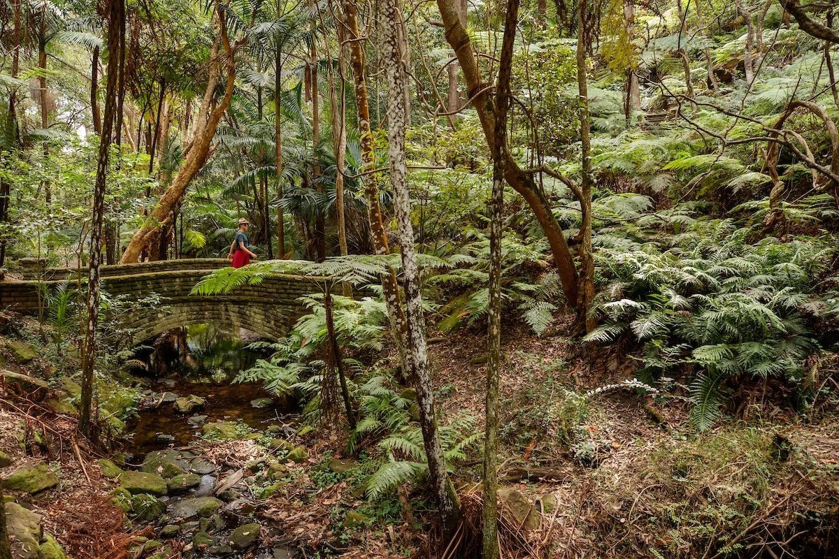 Cooper+Park_trees_vegetation_Medium.jpg