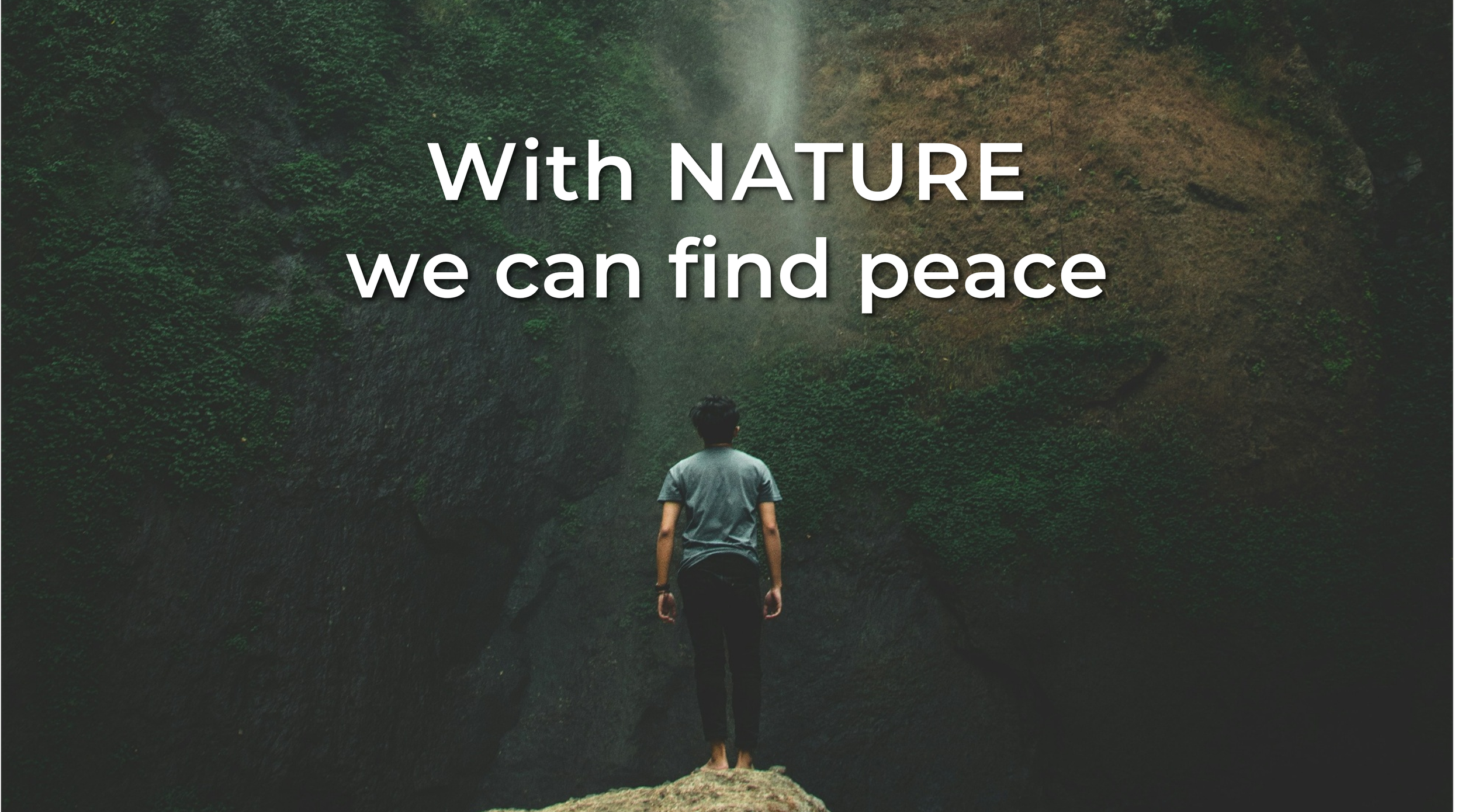 Responding to the Conservation Sector Mental Health Crisis