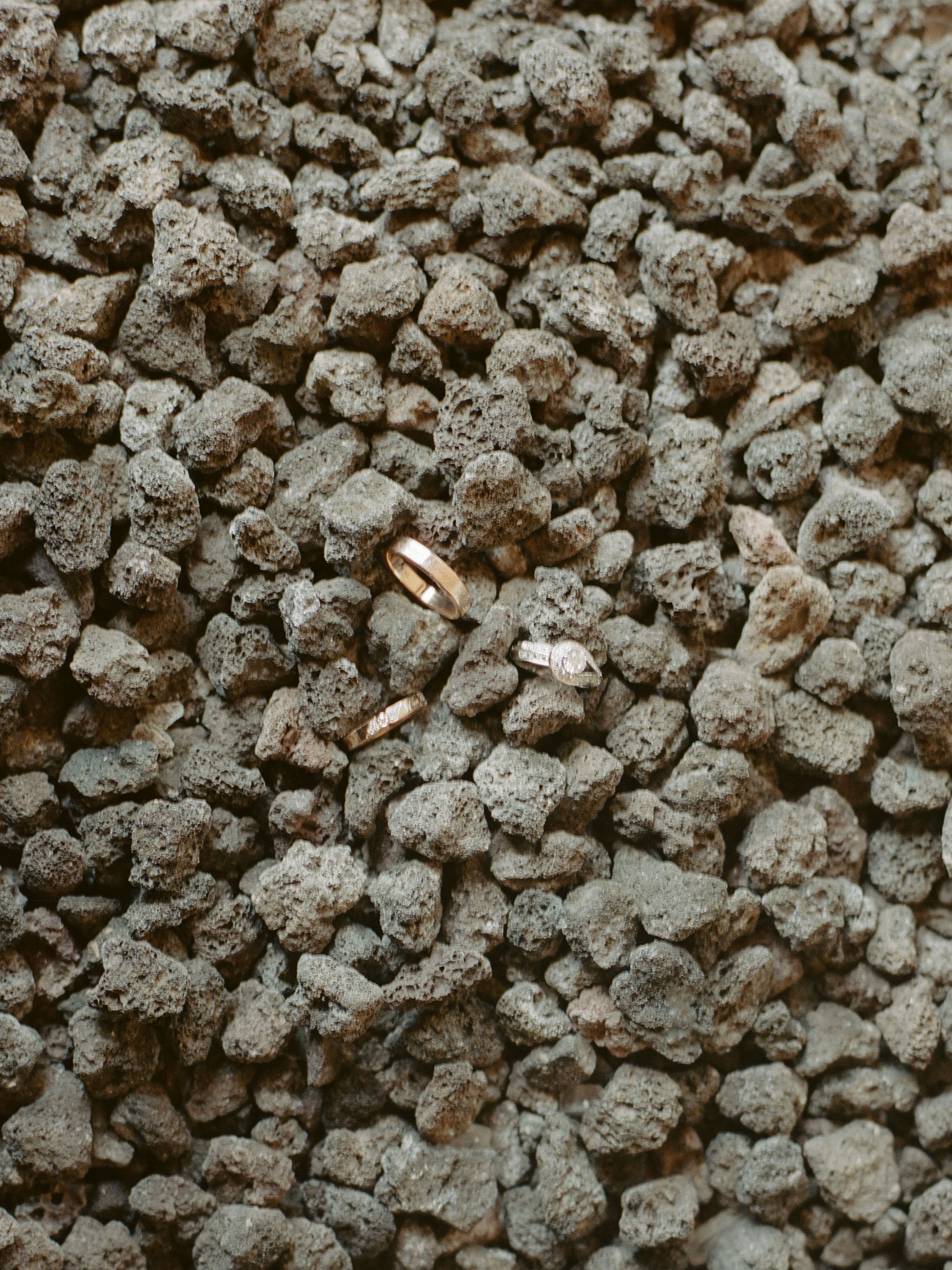 99915356-381973.jpg