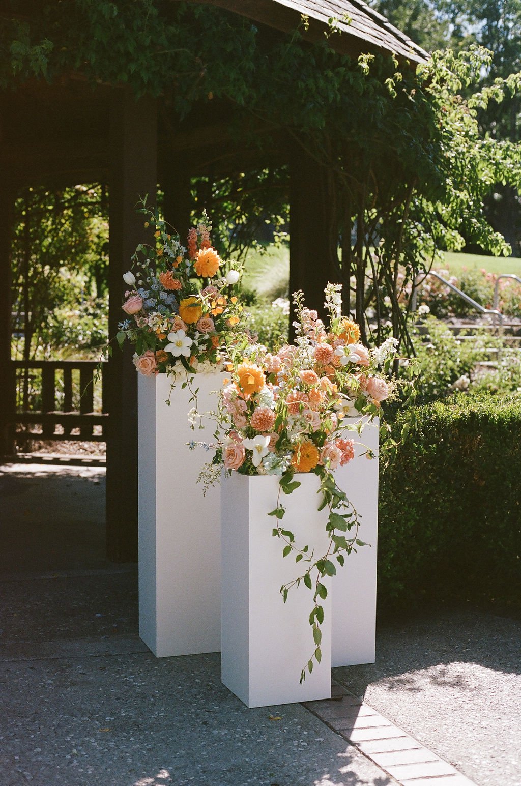 Ceremony5.jpg