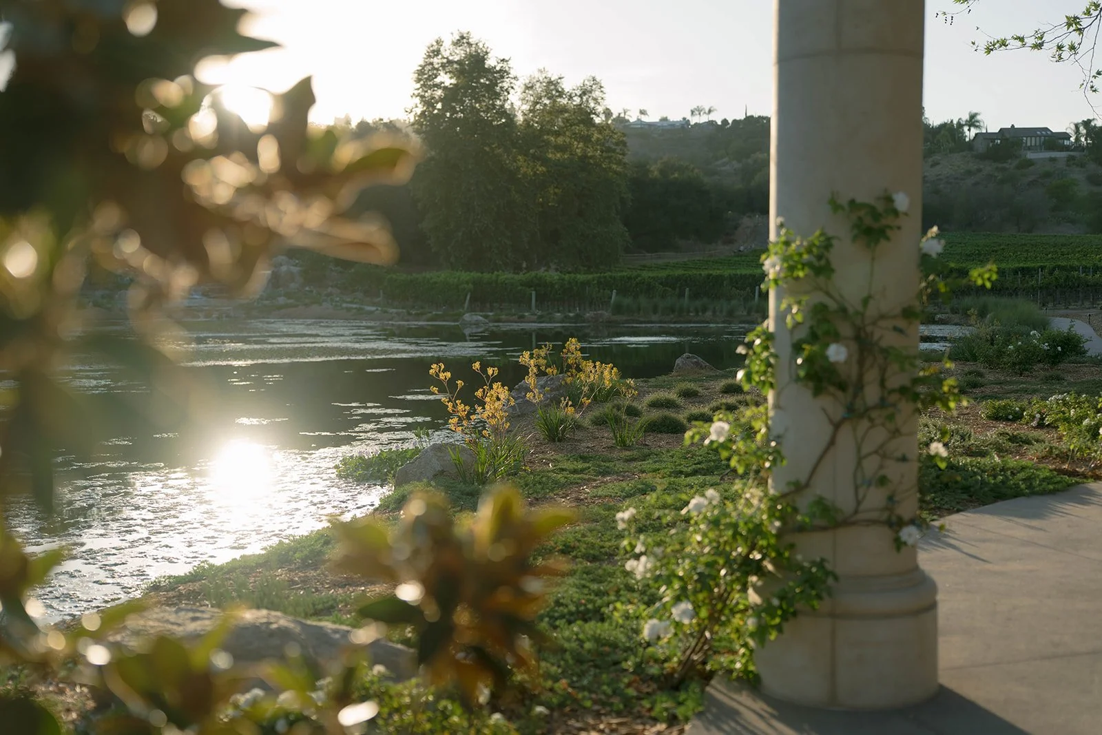 fionatangphotography-01852.jpg