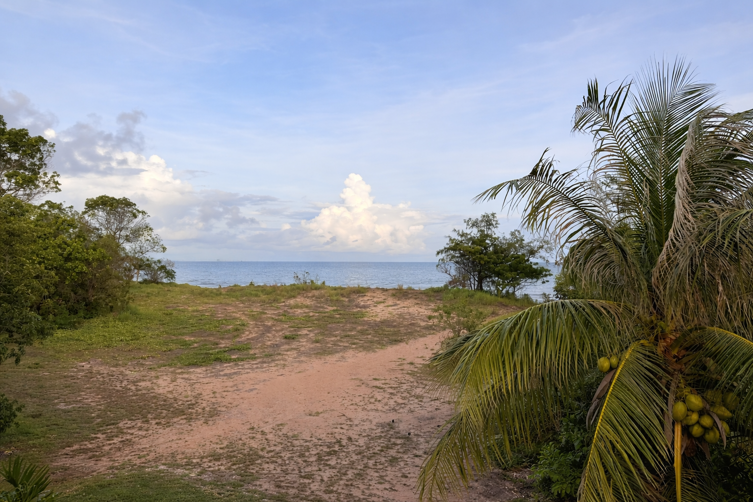 ChatGPT Image Mar 25, 2026, 06_35_02 PM.png