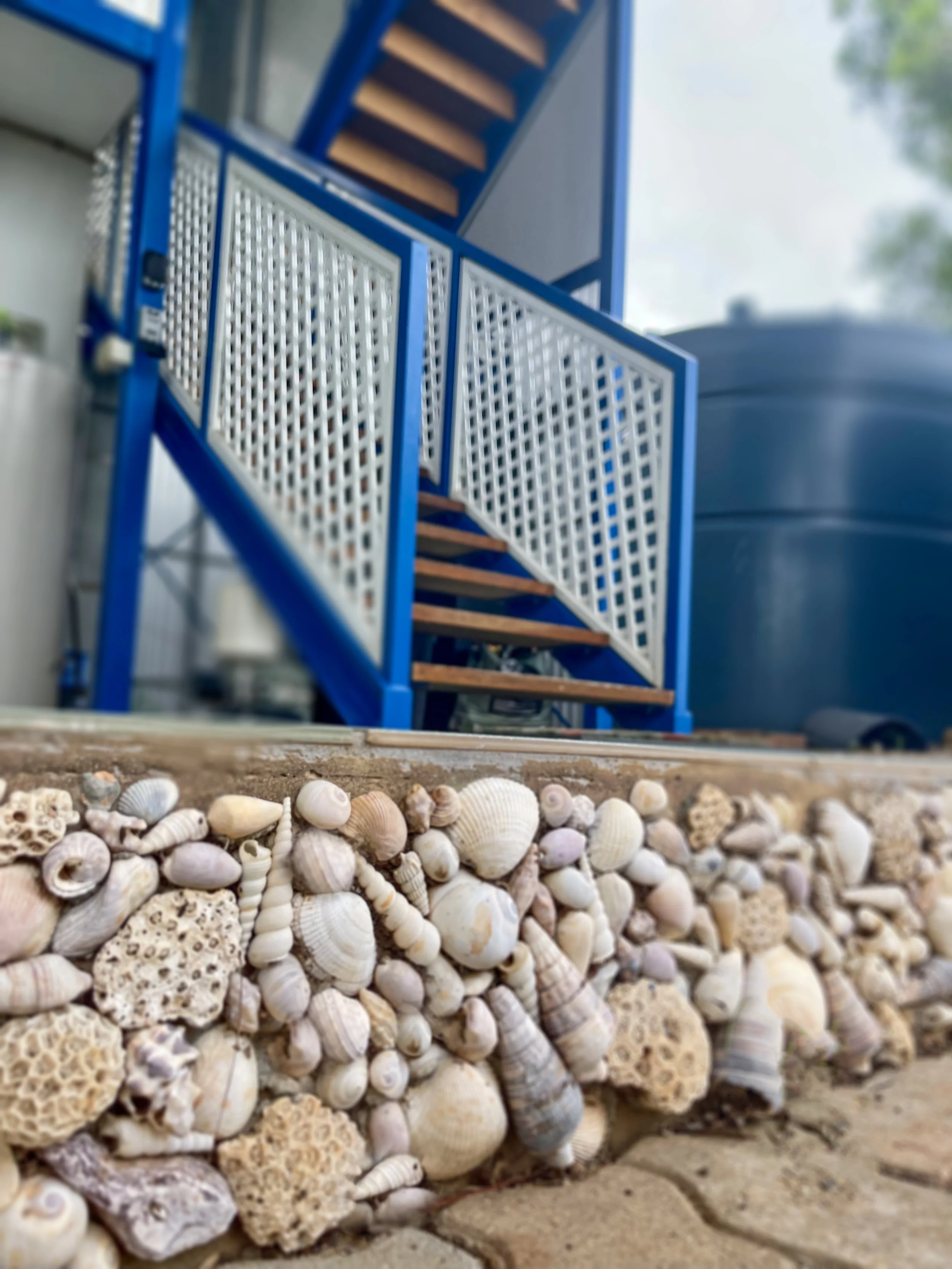 Seabreeze Photos 1_00080.jpeg