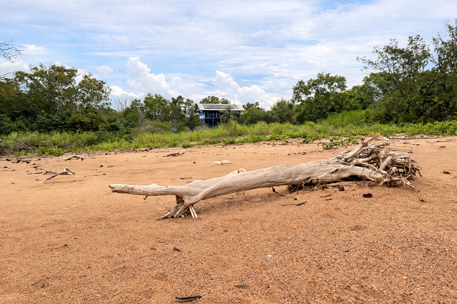 ChatGPT Image Mar 25, 2026, 07_52_41 PM.png