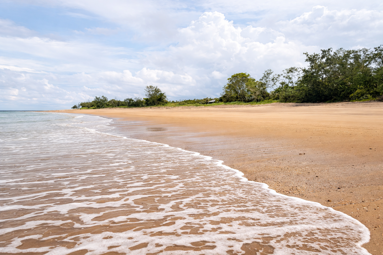 ChatGPT Image Mar 25, 2026, 07_45_31 PM.png