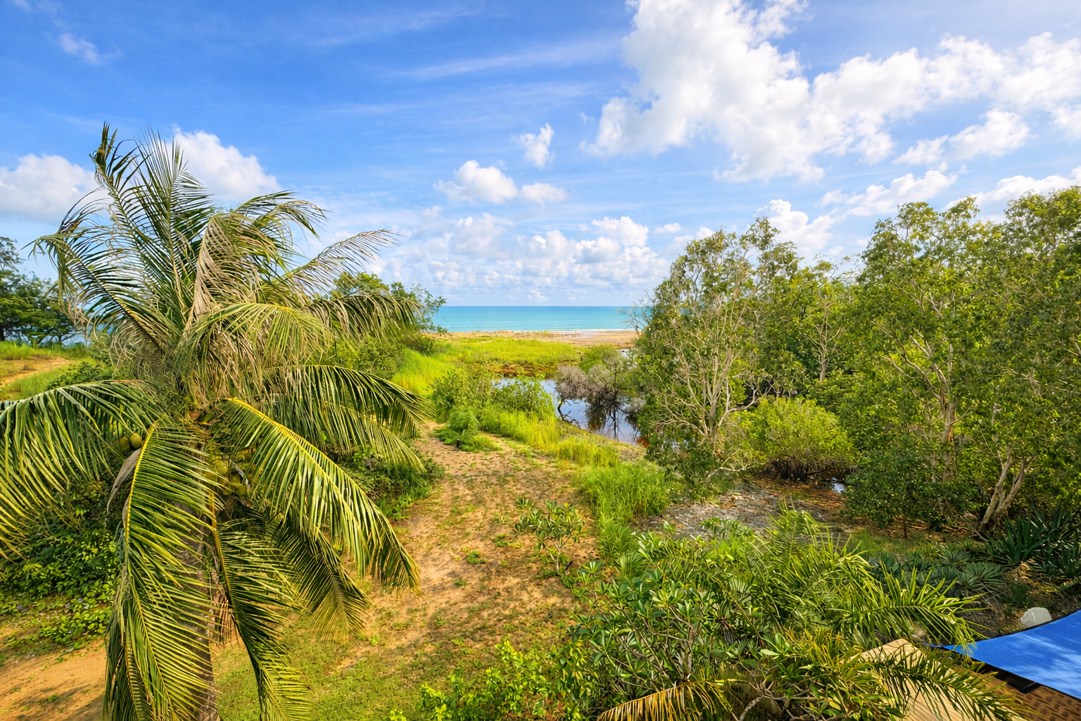 ChatGPT Image Mar 25, 2026, 09_01_35 PM.png