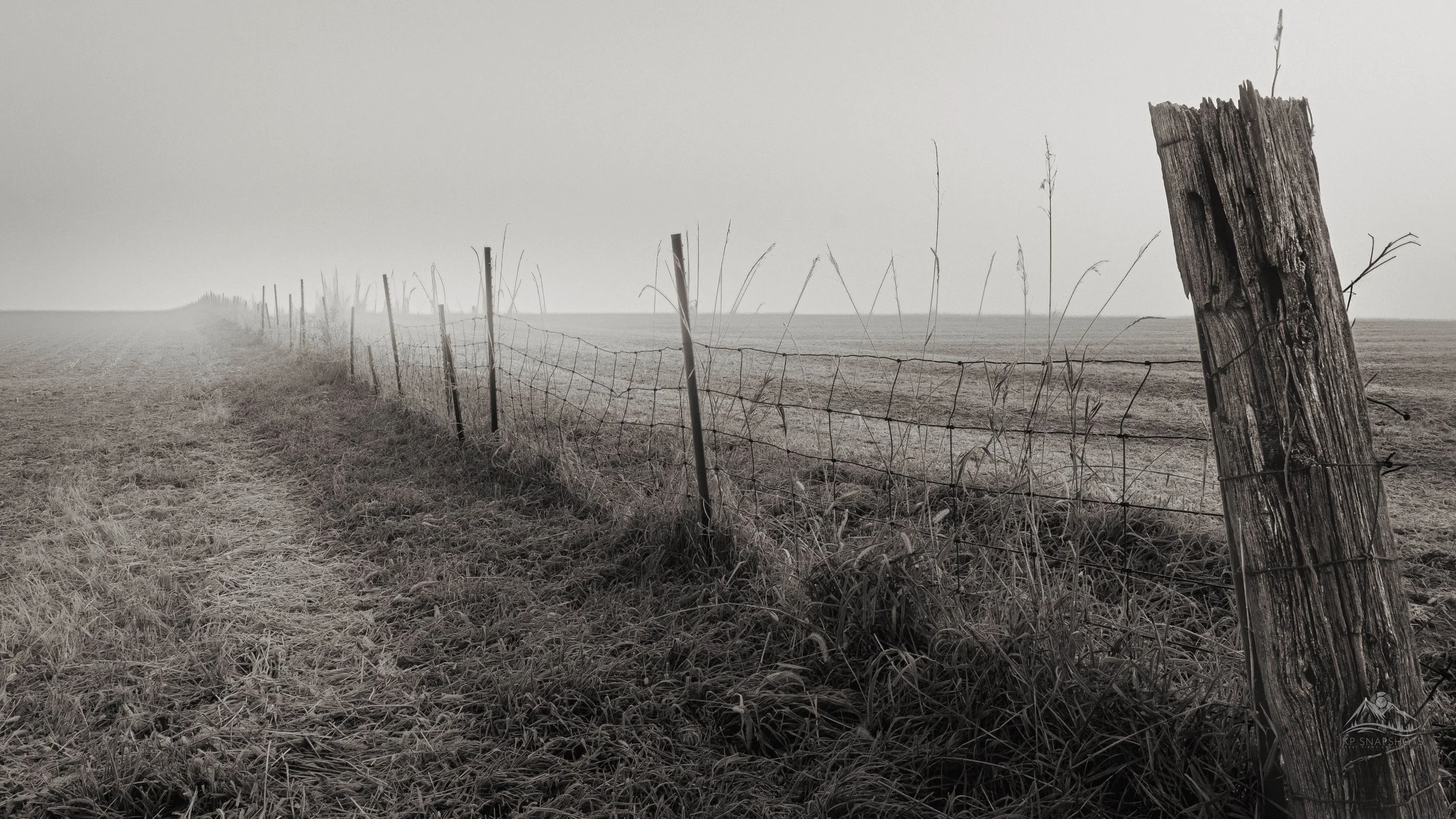 Fence, Field and Fog