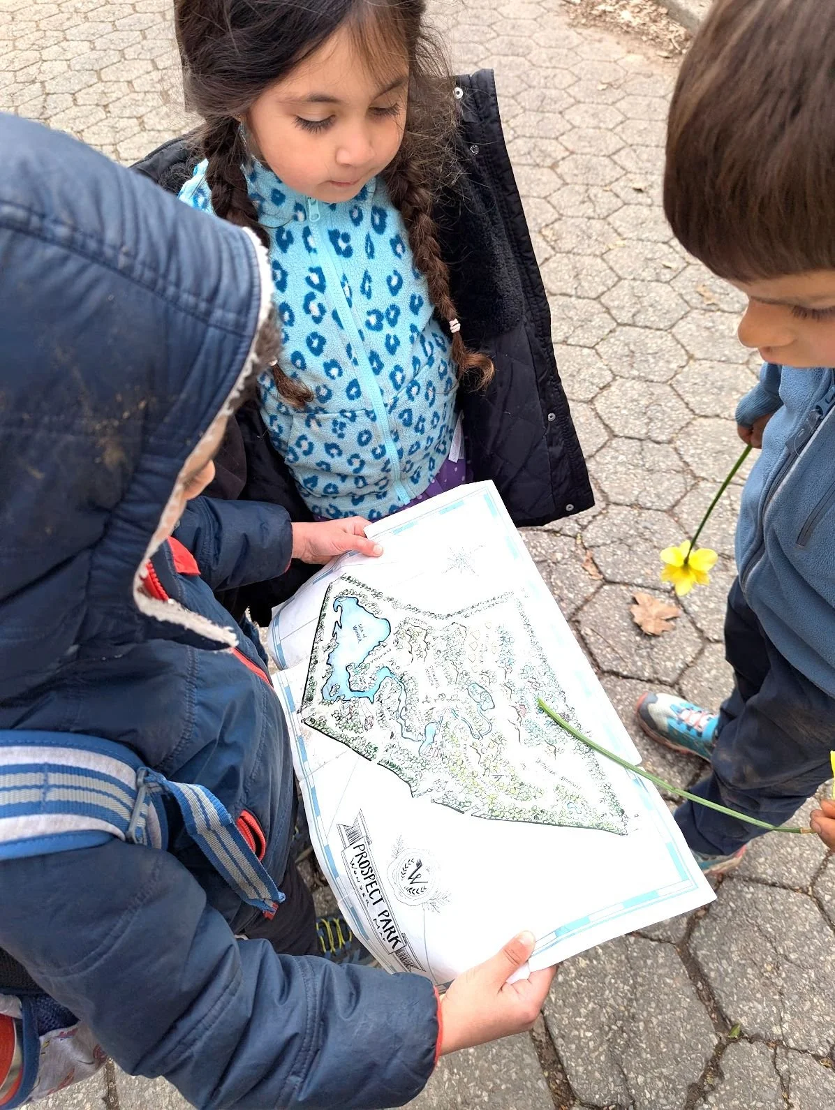 map.jpg
