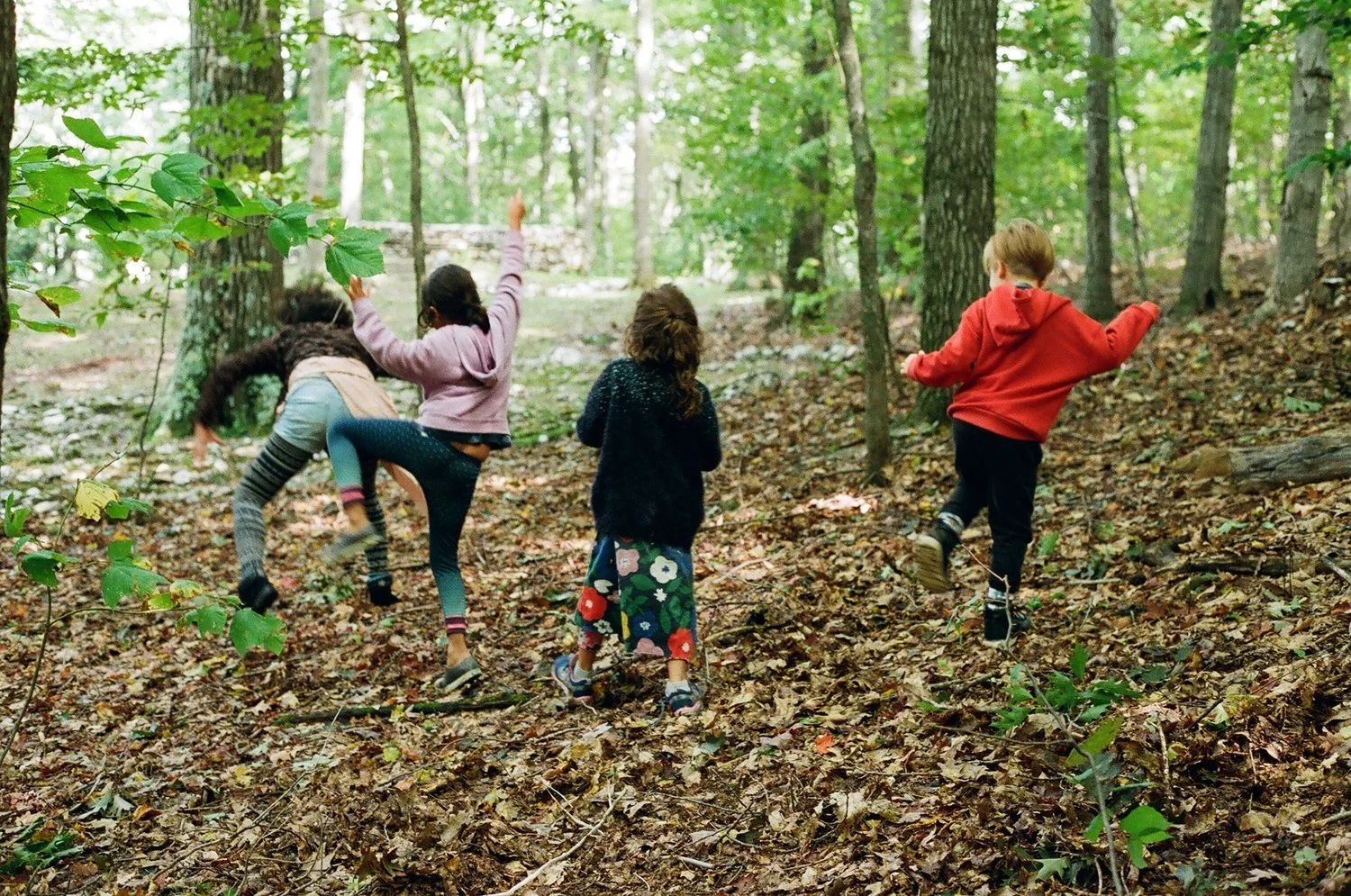 Kids on an outdoor adventure during School of Wonder holiday camp