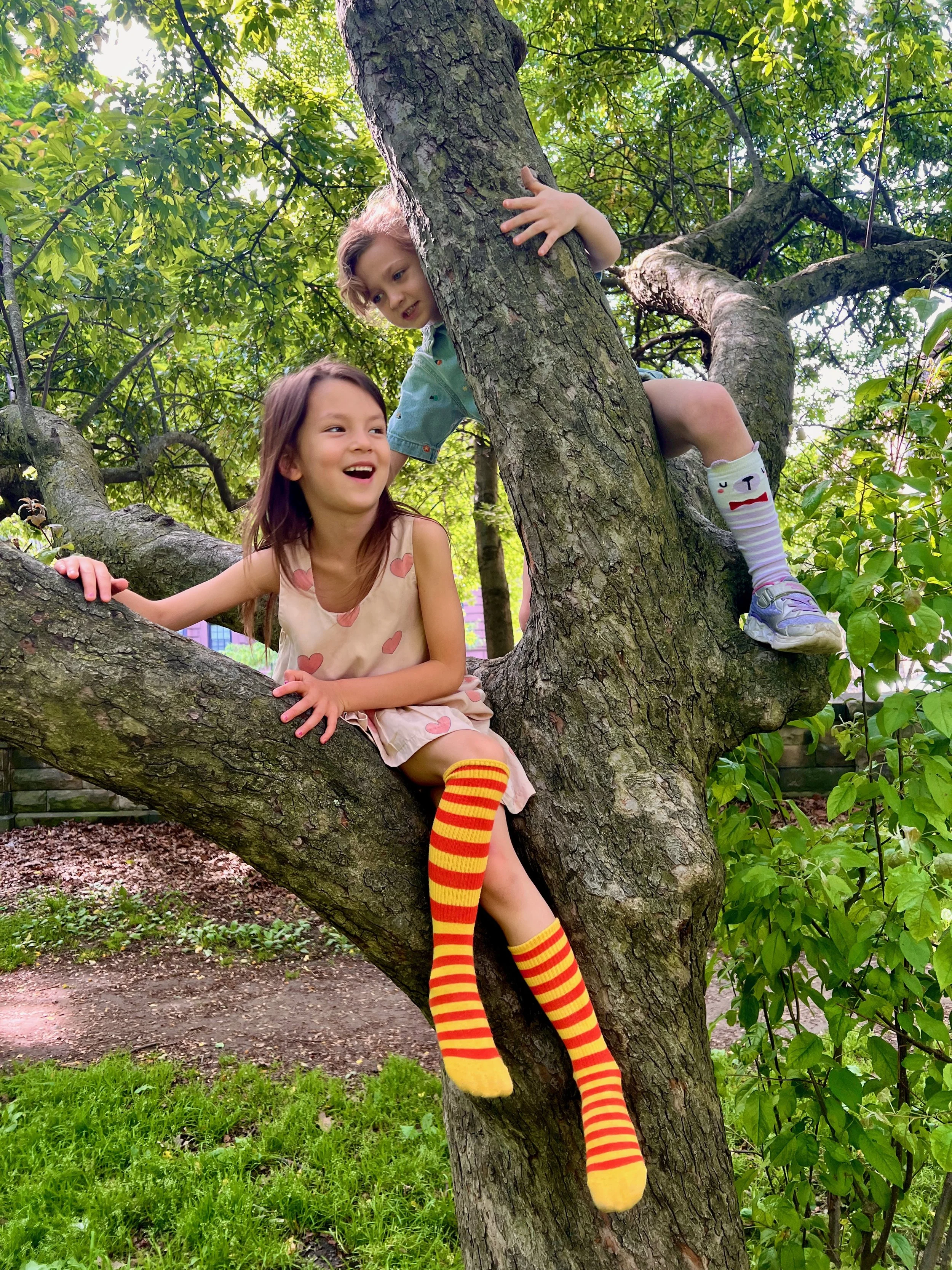 Wonder Kids climbing trees during after school program in Prospect Park