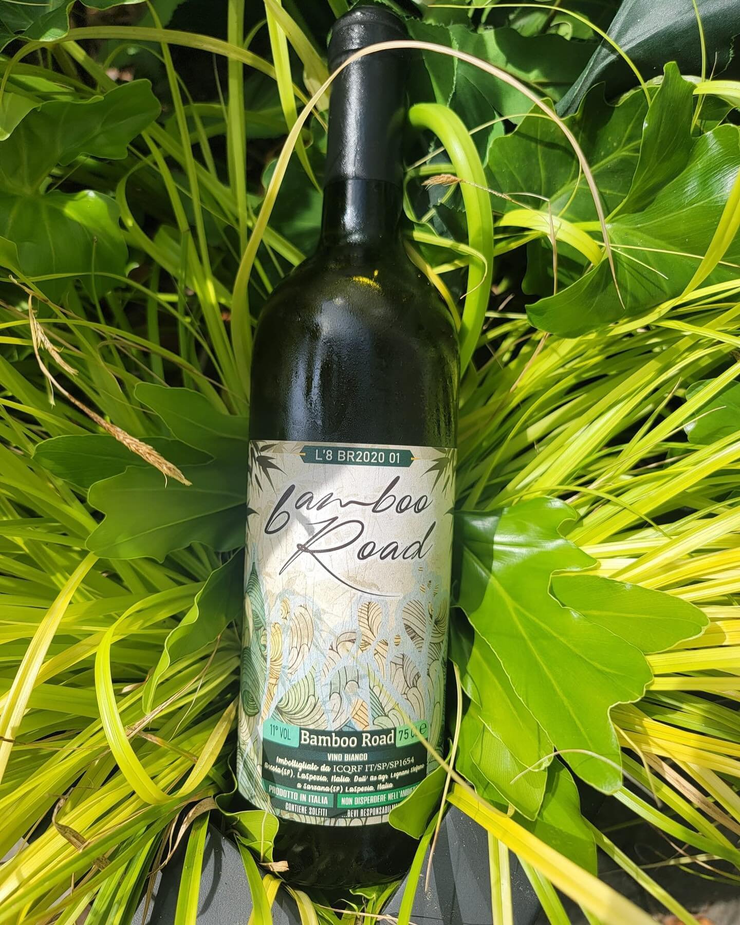 Did you know orange wine is the oldest style of wine making? This features 5 of Italy&rsquo;s most popular whites with ancient vines that range from 50 to 80 years old. Come in today and enjoy!

Wine Wednesday: Today from 11-7 come try our featured w
