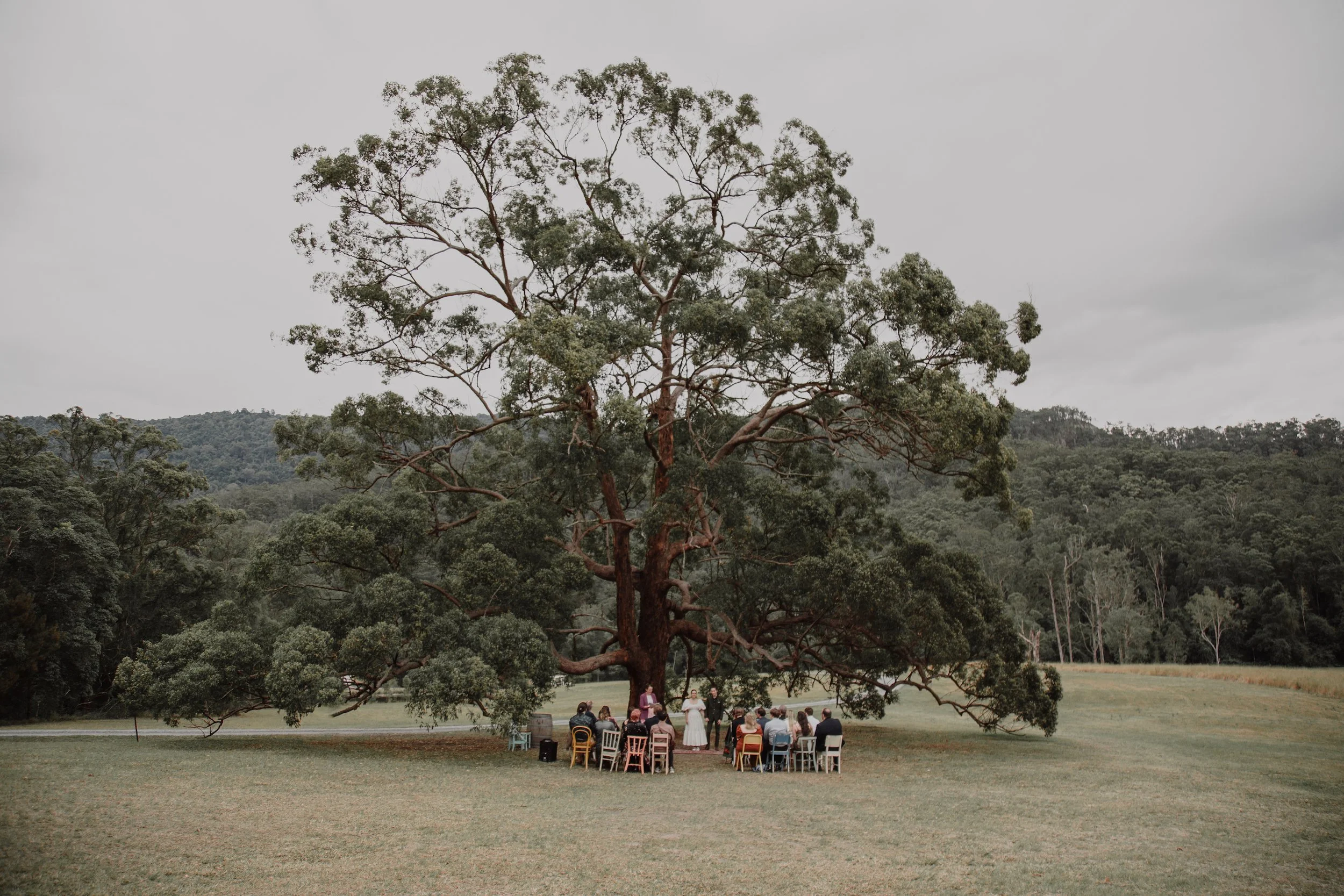 Newcastle wedding photographer, Hunter Valley Wedding Photographer, Newcastle portrait photographer, Newcastle engagement photographer, Newcastle elopement photographer, Newcastle environmental portrait photographer