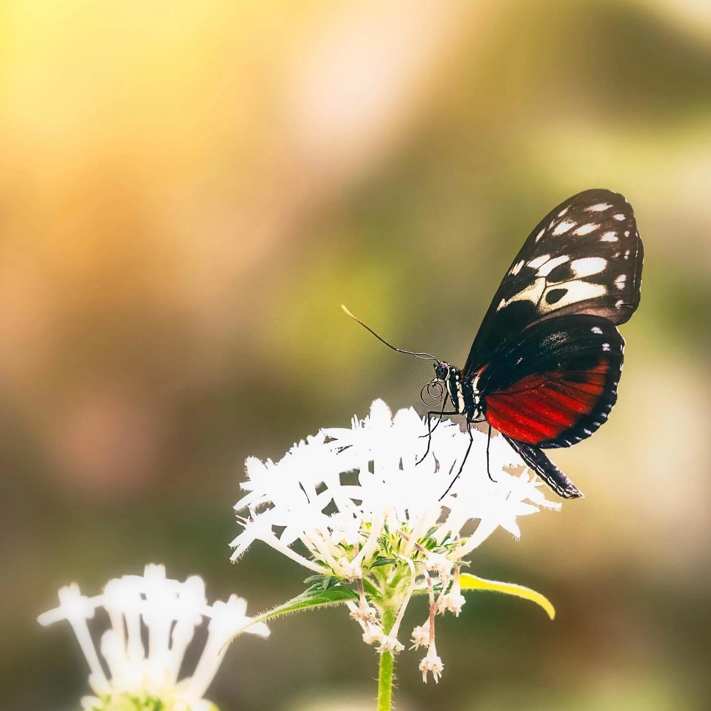 Just like the long awaited spring, healing isn&rsquo;t an overnight transformation&mdash;it&rsquo;s a slow, quiet unfolding. The first day of spring is a gentle reminder that no matter how long the winter felt, life always finds a way to bloom again.