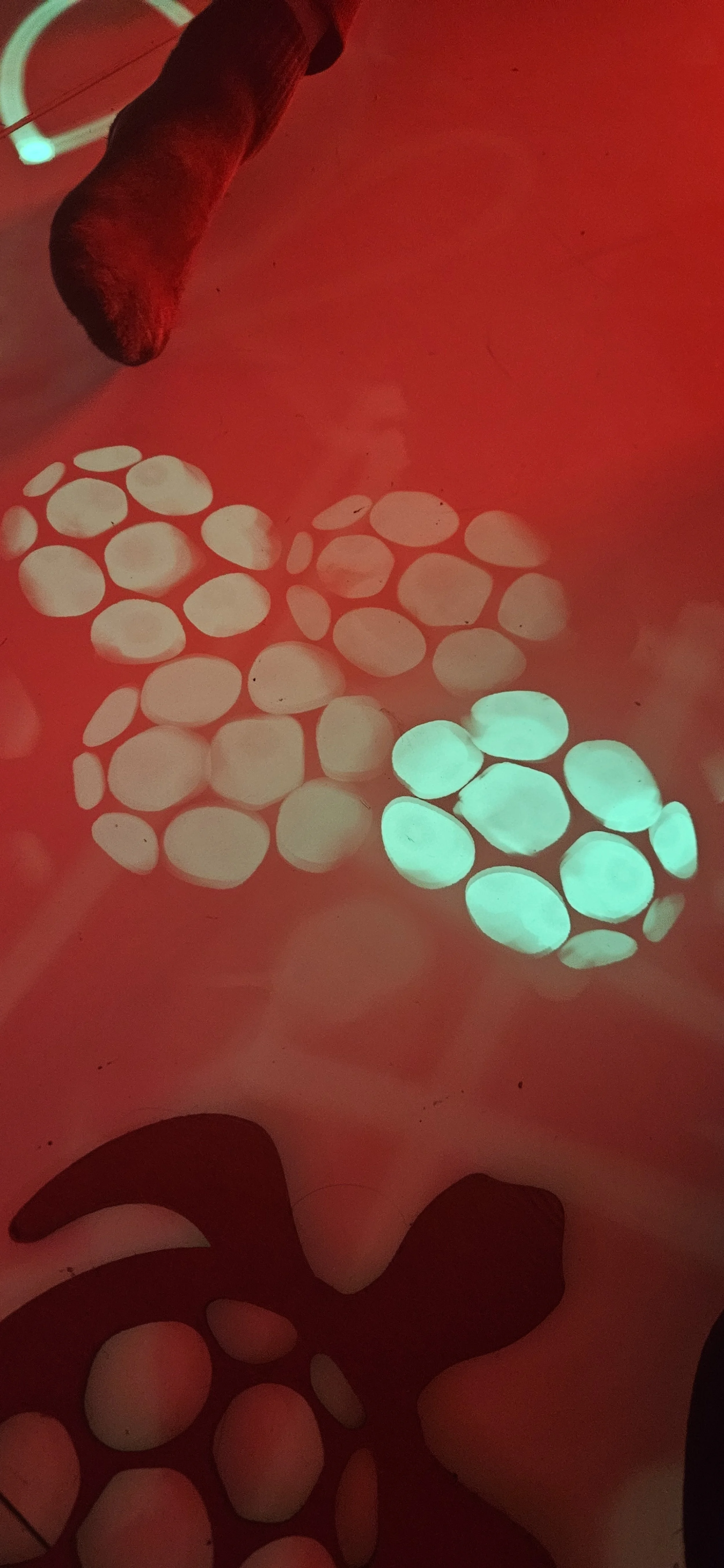 GROUNDED2025 (Image credit-Amanda Yarrow) (1).jpg