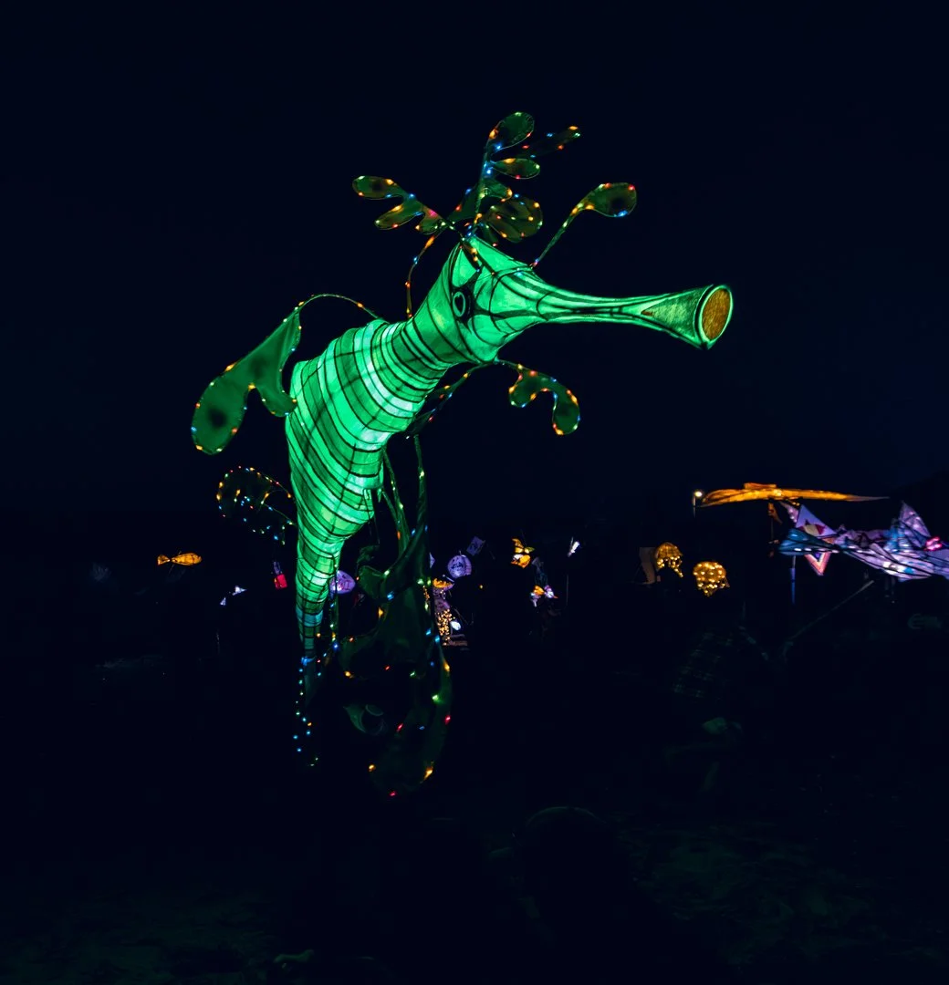 Lanterns and Fire (ImageCredit_DeniseJackson-Cook) GROUNDED2025 (19) (1).jpg