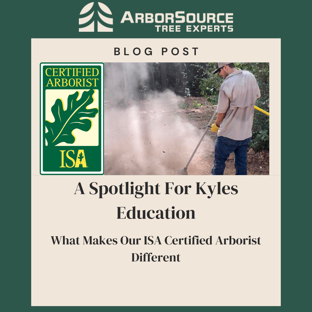 What Makes Our ISA Certified Arborist Different?