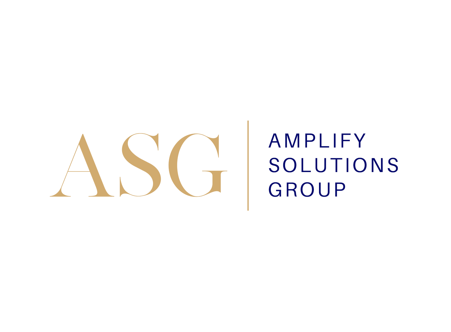 Our Services — Amplify Solutions Group