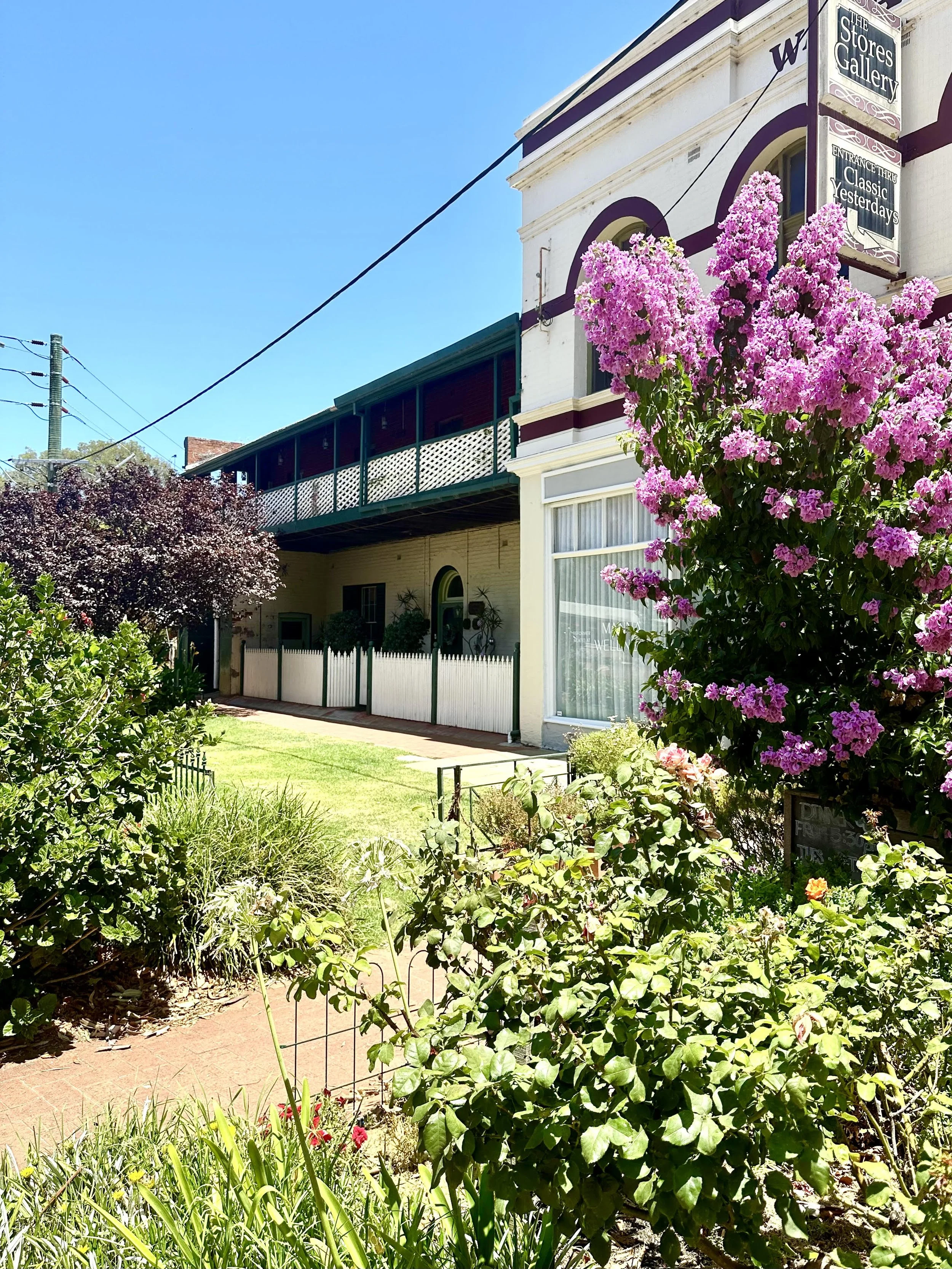 Perth Wellness Clinic - Reformer Pilates Beds