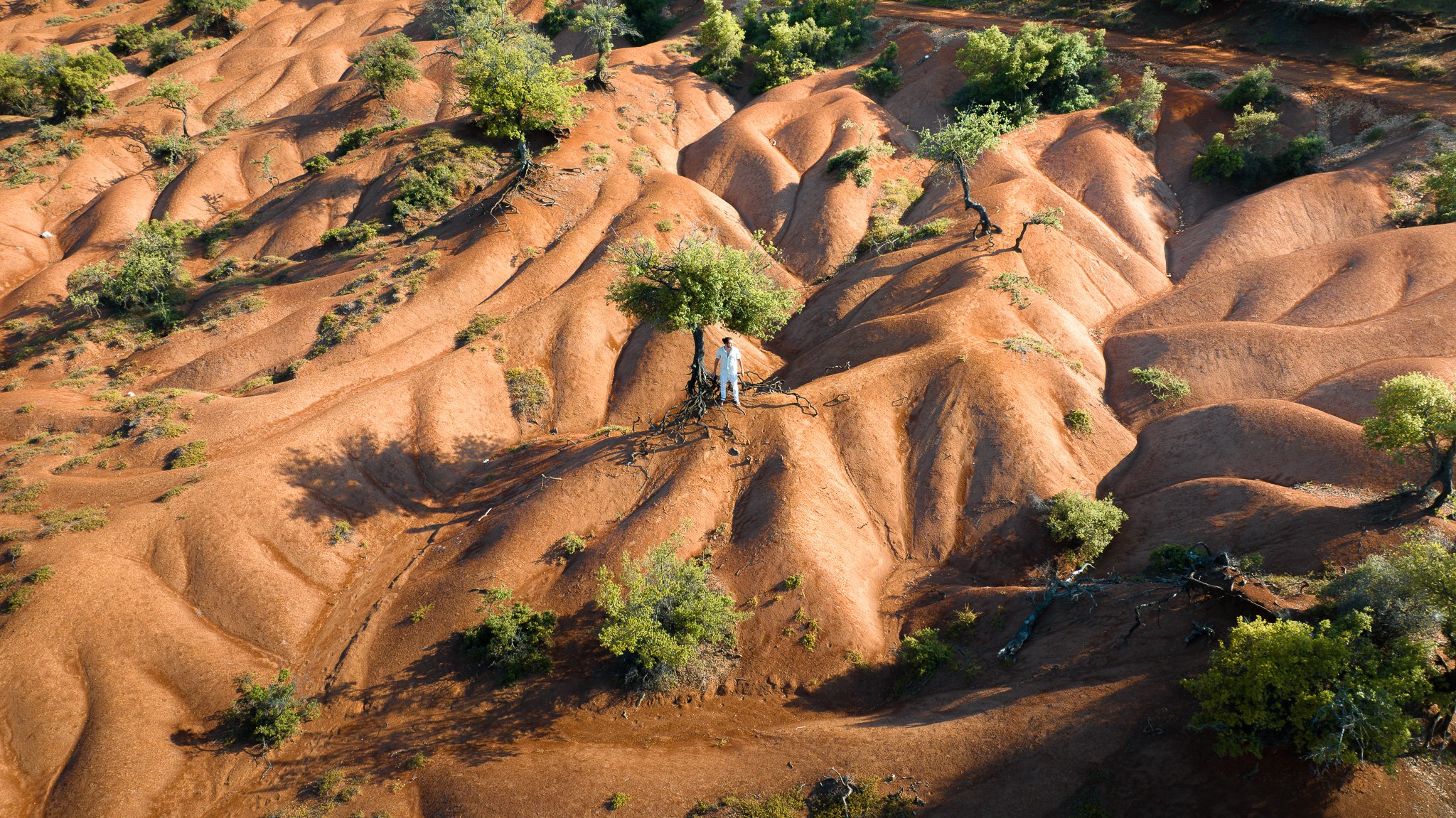 DJI_20230715111045_0216_D-Enhanced-NR.jpg