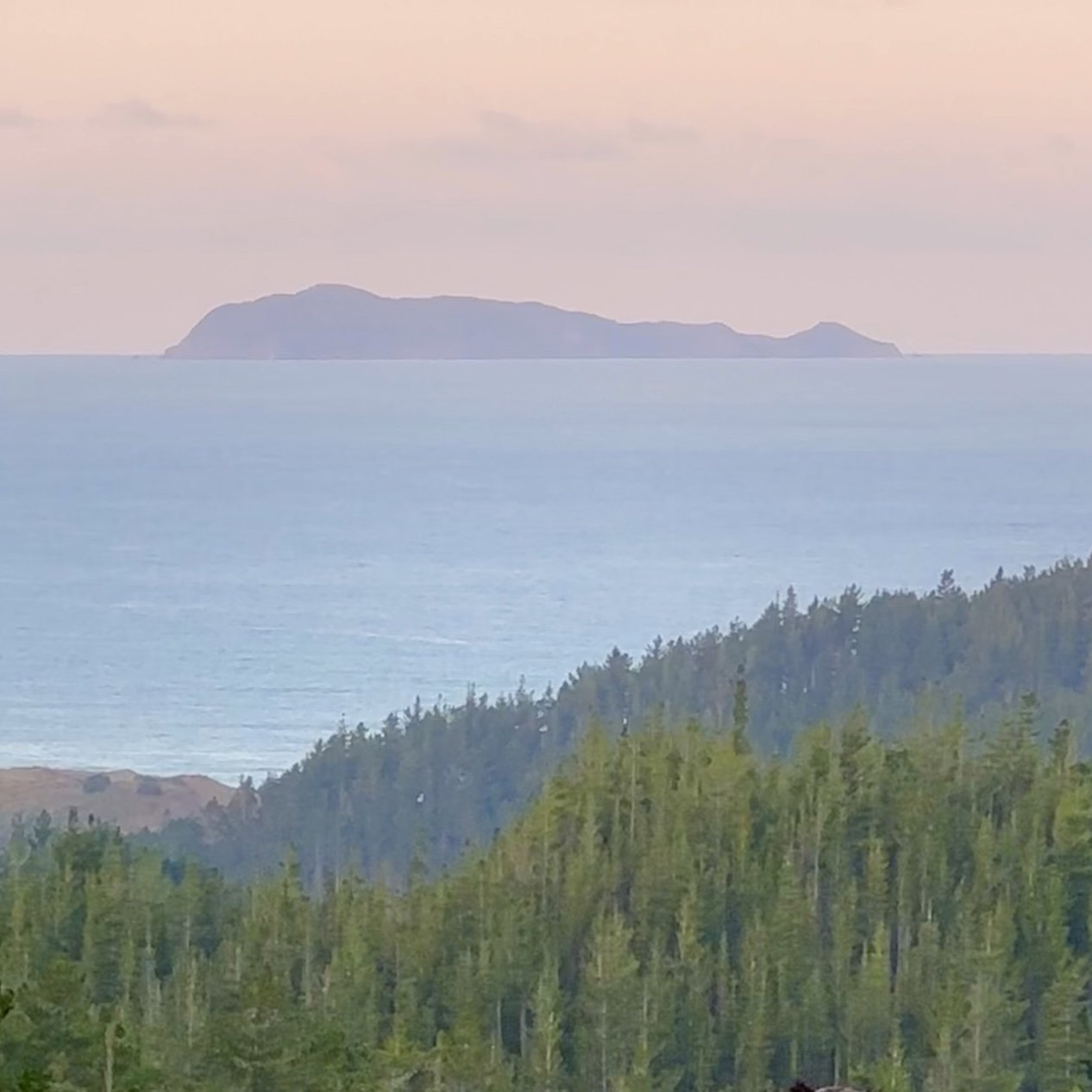 Repanga Island at dusk