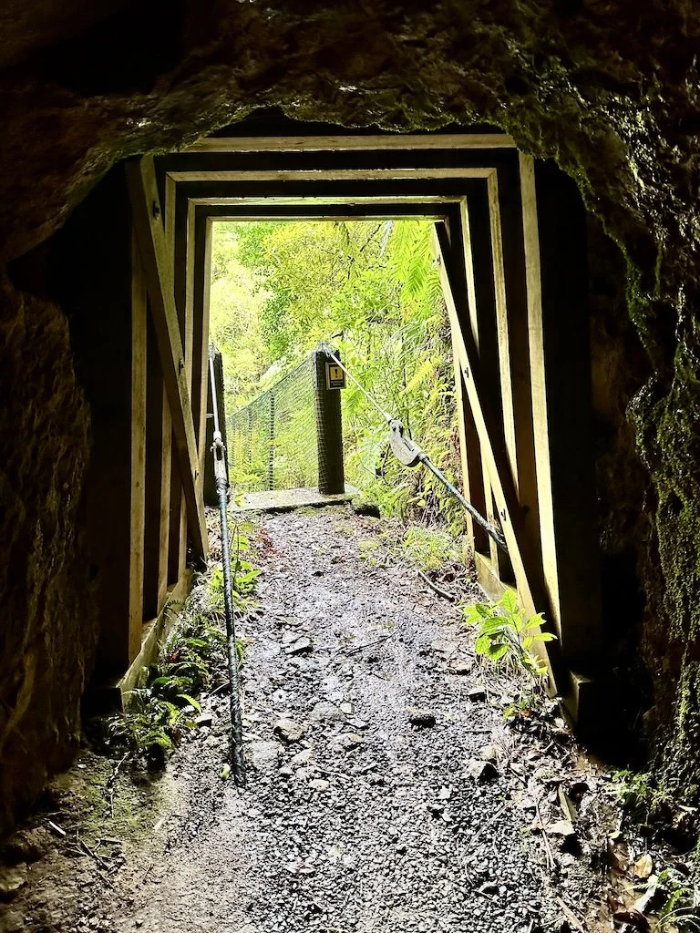 Looking through a historic gold mine tunnel toward the forest beyond, Waiorongomai Valley