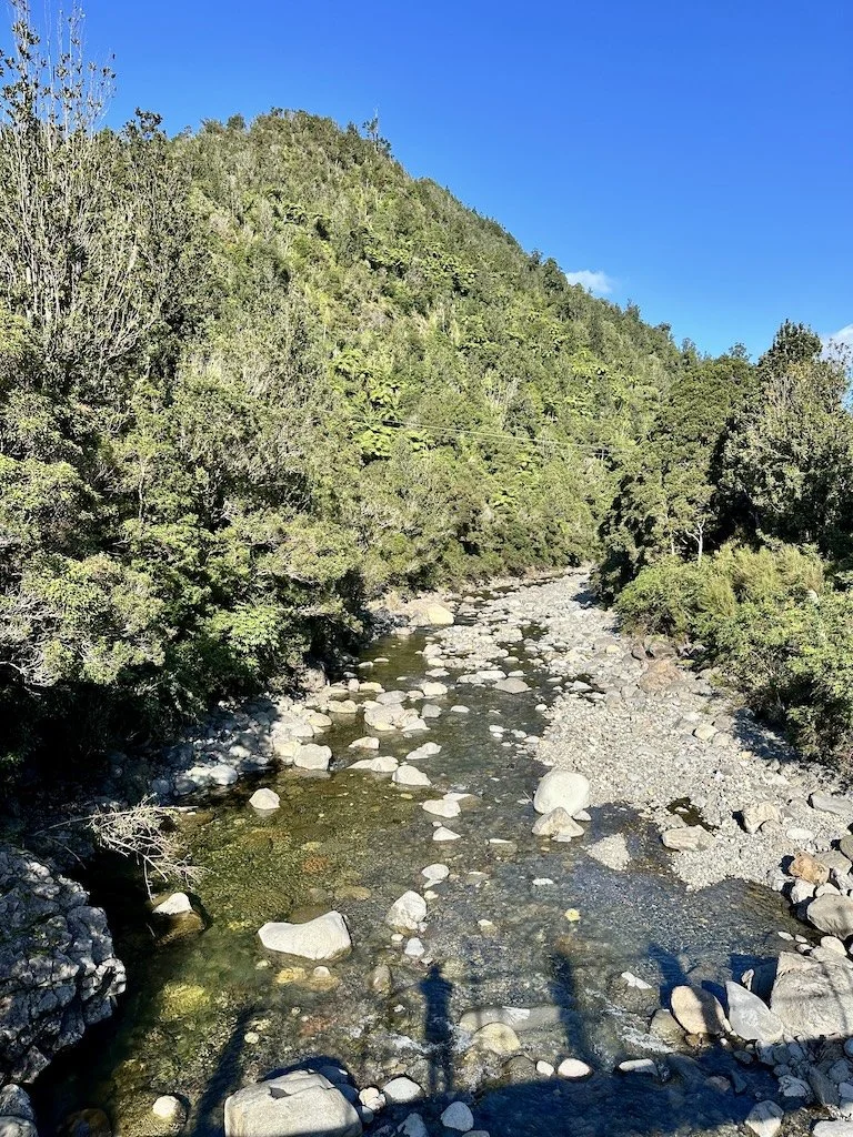 The Kauaeranga River, Kauaeranga Valley