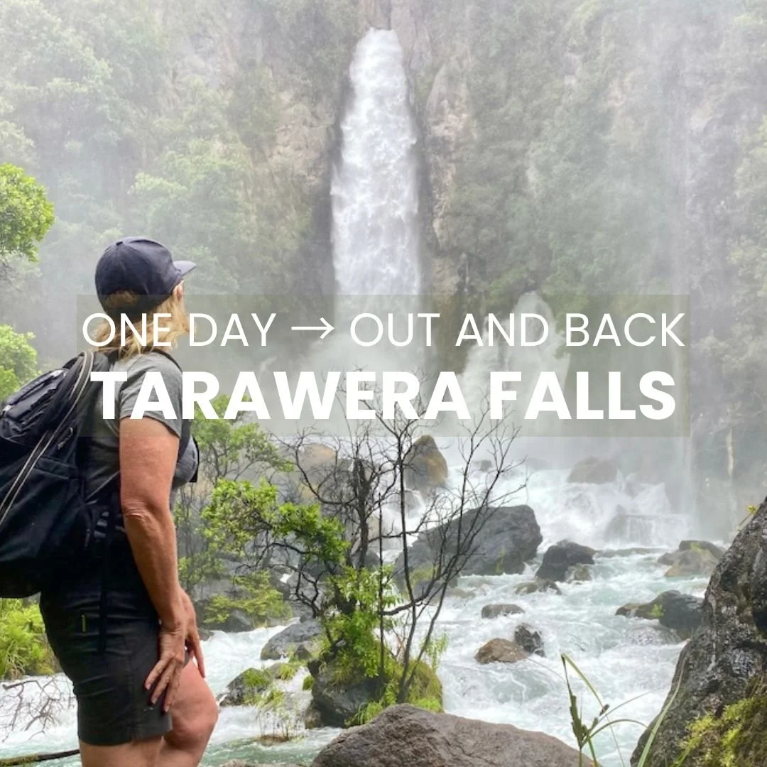Tarawera Falls cascading into a pool surrounded by lush native New Zealand bush