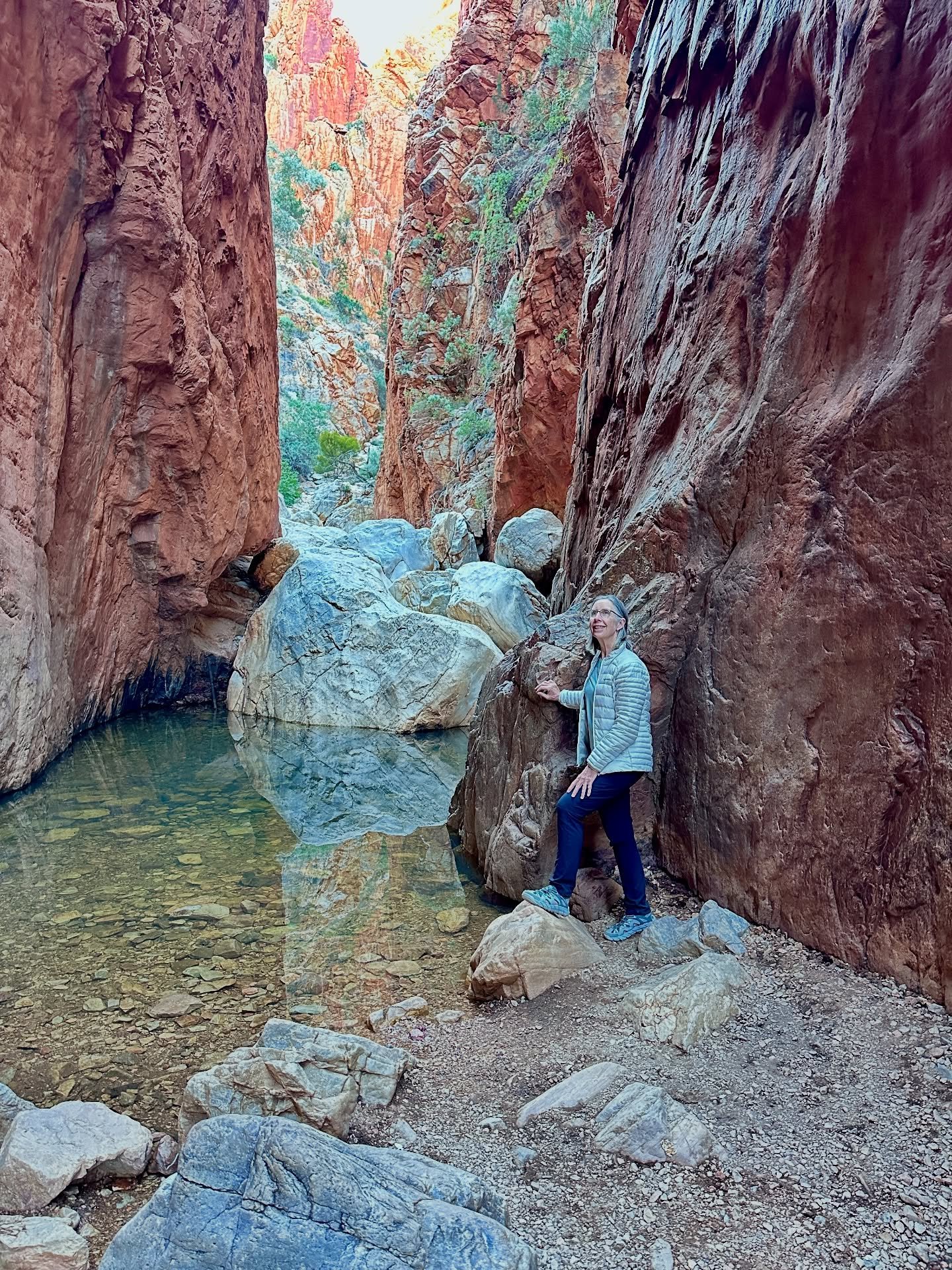 Spectacular Larapinta Trail
🦎🐍🦘☀️🥾🏕️
Daily reels to resume once we&rsquo;ve finished 😀
.
.
.
#larapintatrail #alicesprings #australia #northernterritory #standleychasm 
.
.
@merrellnz