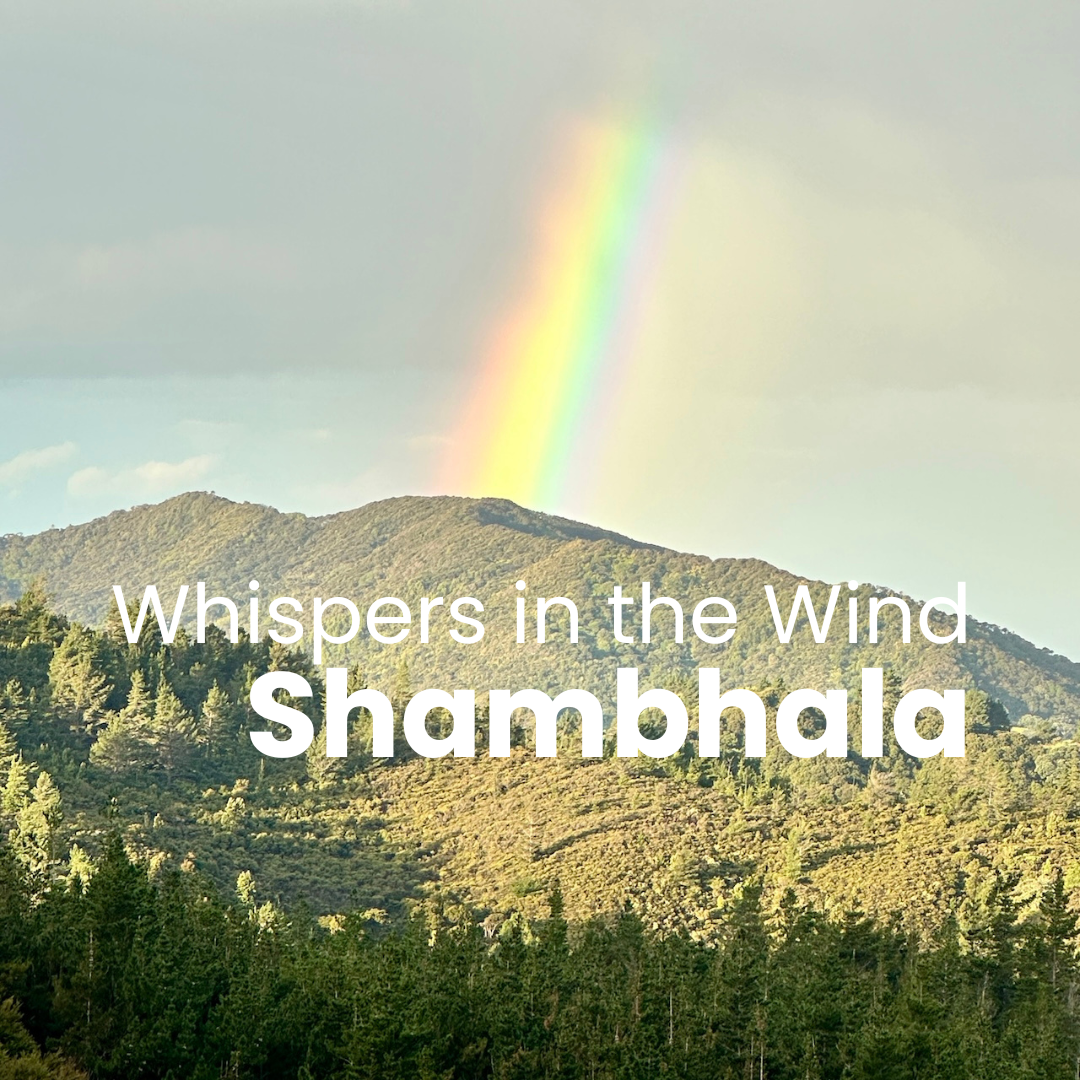 Shambhala: Building an Off-Grid Life in the Coromandel