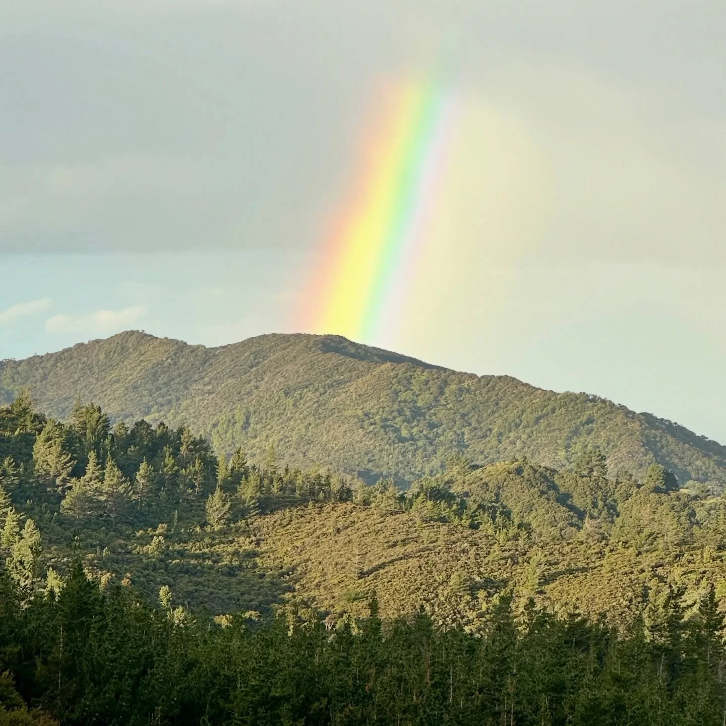 🌿 Long before the cabin, there was Shambhala&hellip; a piece of wilderness calling me to live off-grid in the Coromandel. From clearing bush tracks to setting up a temporary campsite, every challenge taught resilience, patience, and joy. 🌱

💛 Read