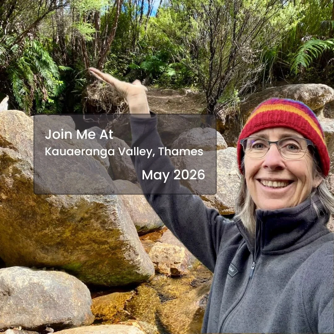 🌿 Reset and Recharge Walk — Founding Group