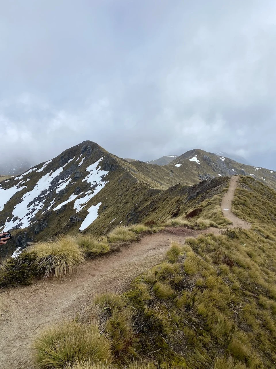Kepler Track ridge line, Fiordland National Park, New Zealand Great Walks
