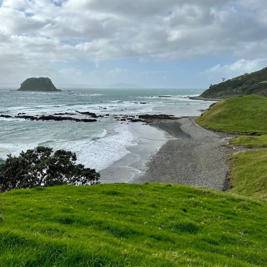 Curving grey shingle beach on the Coromandel Walkway with rocky reefs and surf in the foreground, a small offshore island on the left, and green grassy headlands framing the bay under a broken cloud sky.
