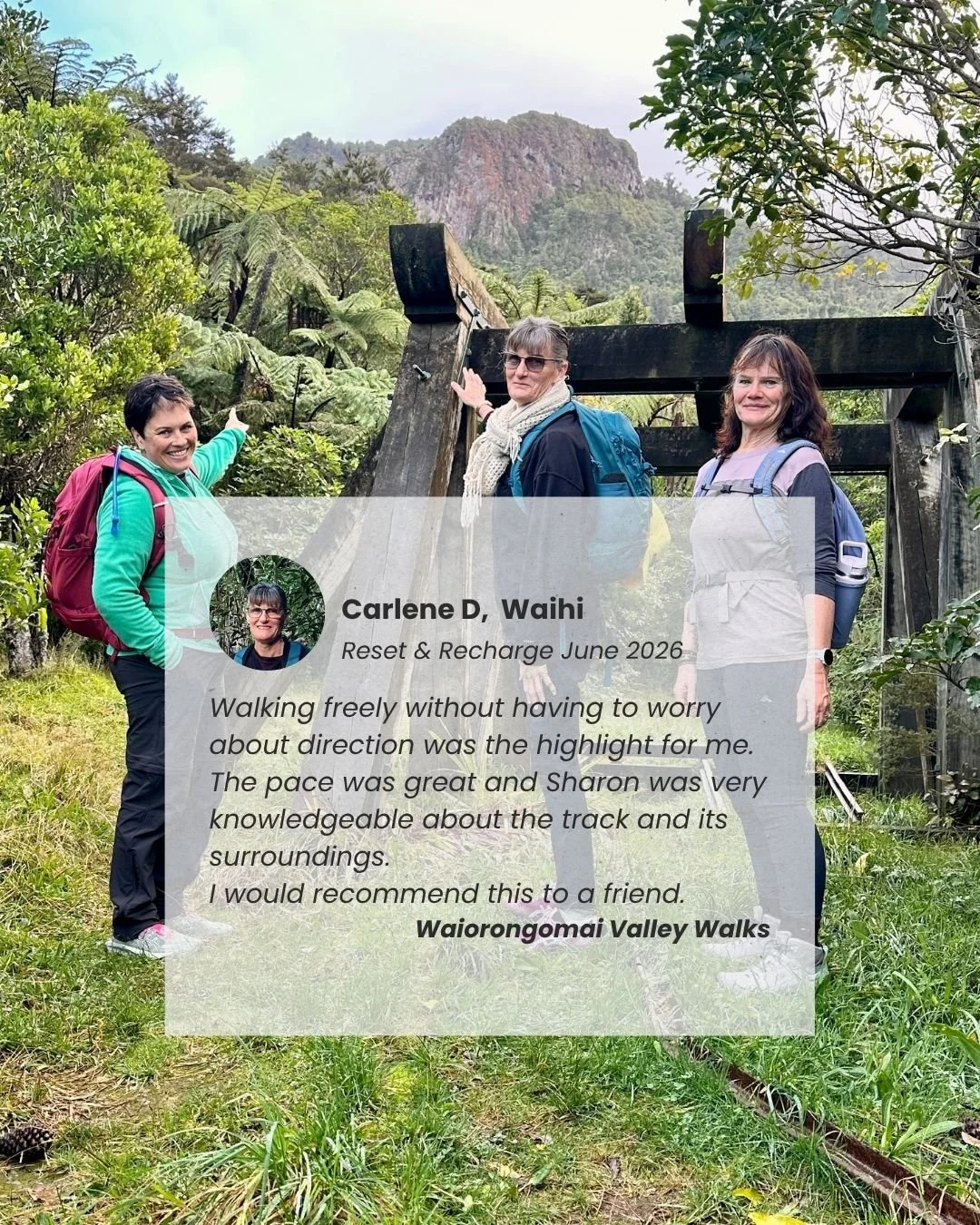 WV Carlene D Testimonial.jpg