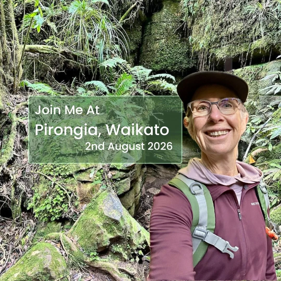 Reset and Recharge Walk - Pirongia, Waikato 🌿