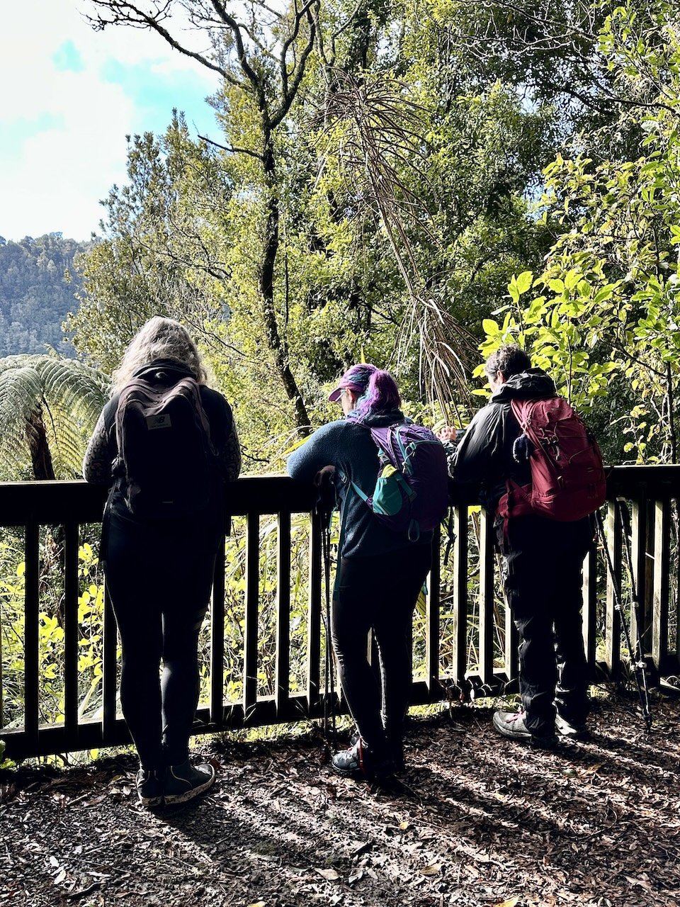 Hiking group at the Ngahopua Track lookout above Lake Rotongata
