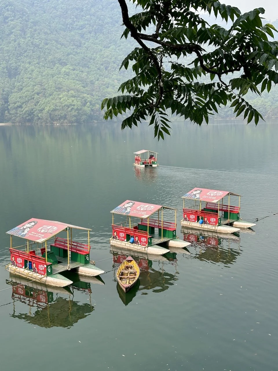 Boats, Lake Phewa, Pokhara, Nepal