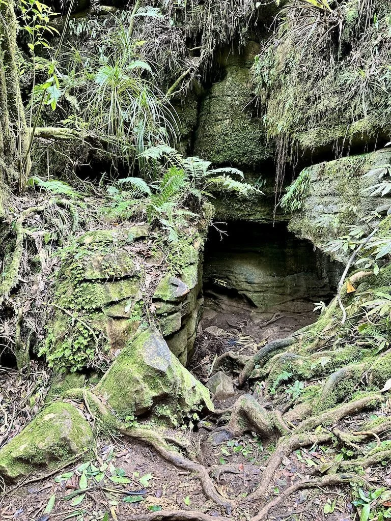 Limestone Kaniwhaniwha Caves, Pirongia Forest Park