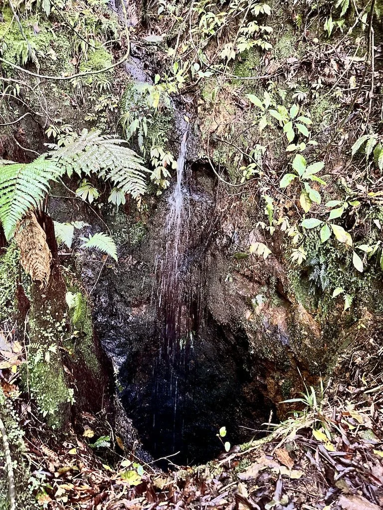 Historic gold mine shaft with water trickling into the darkness, Waiorongomai Valley
