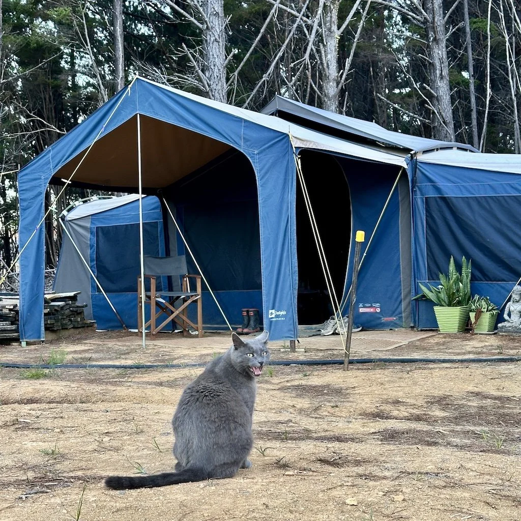 The off-grid tent at Shambhala
