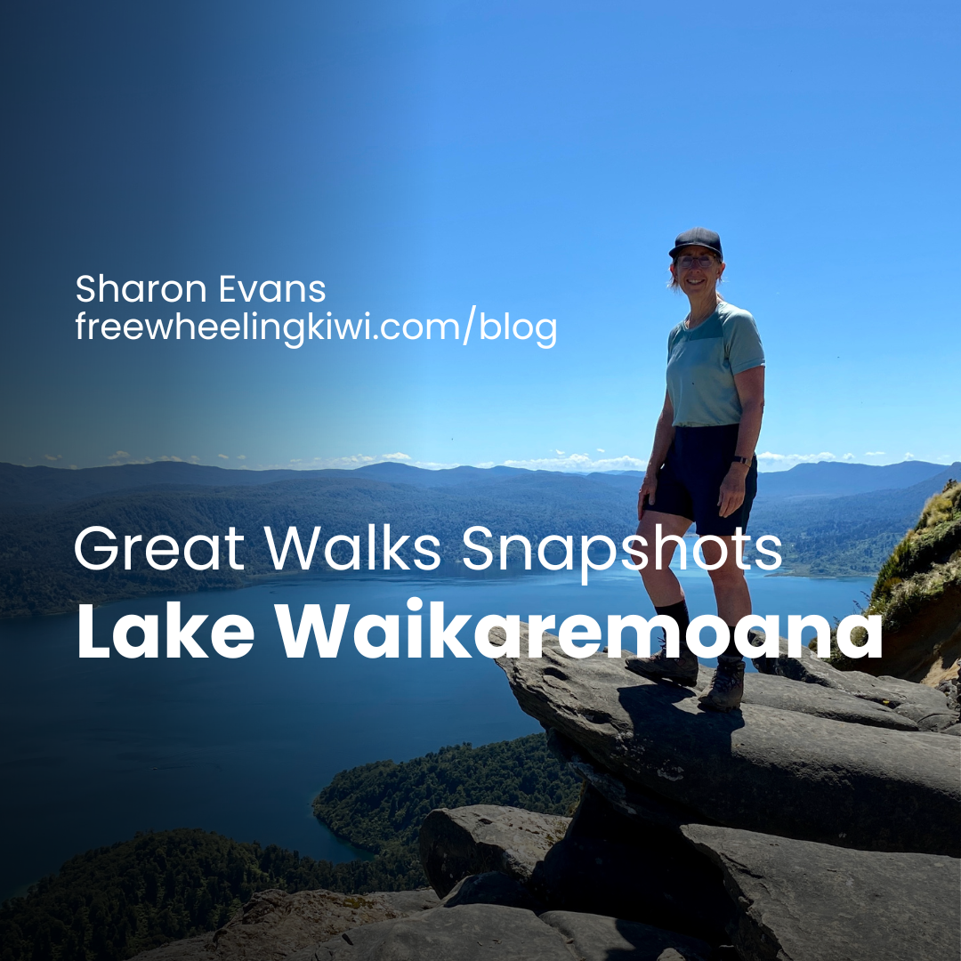 Hiker at Panekire Bluff, Lake Waikaremoana