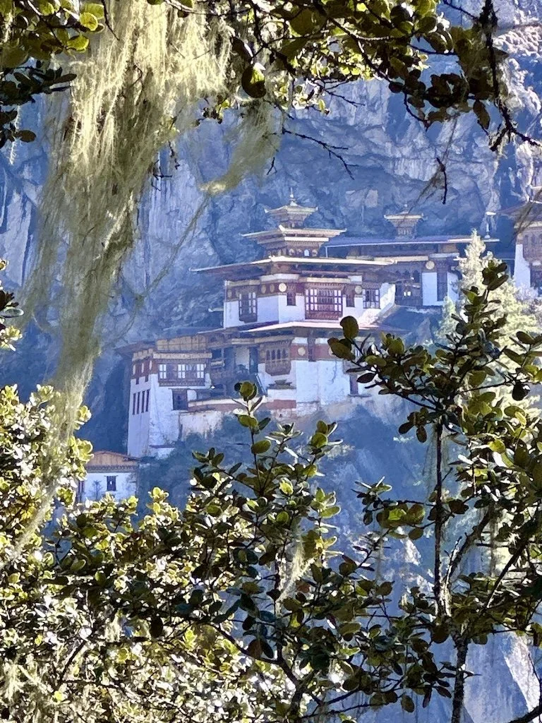 Hiking path through pine forests on Bhutan hiking trail to Tigers Nest
